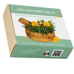 Dovanų dėžutė 3 produktams 30ml arba 60ml