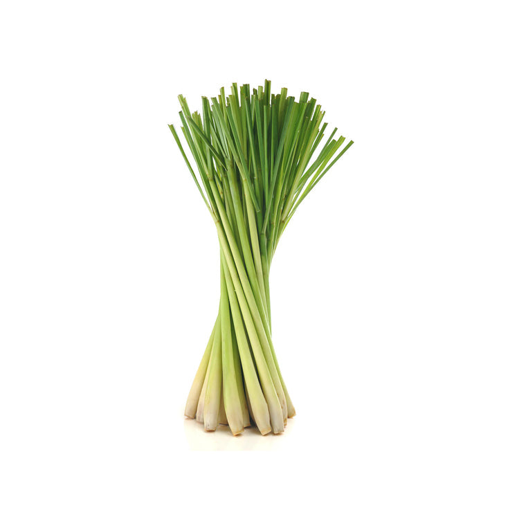 Lemongrass Floral Water (Hydroflorate or Hydrosol)