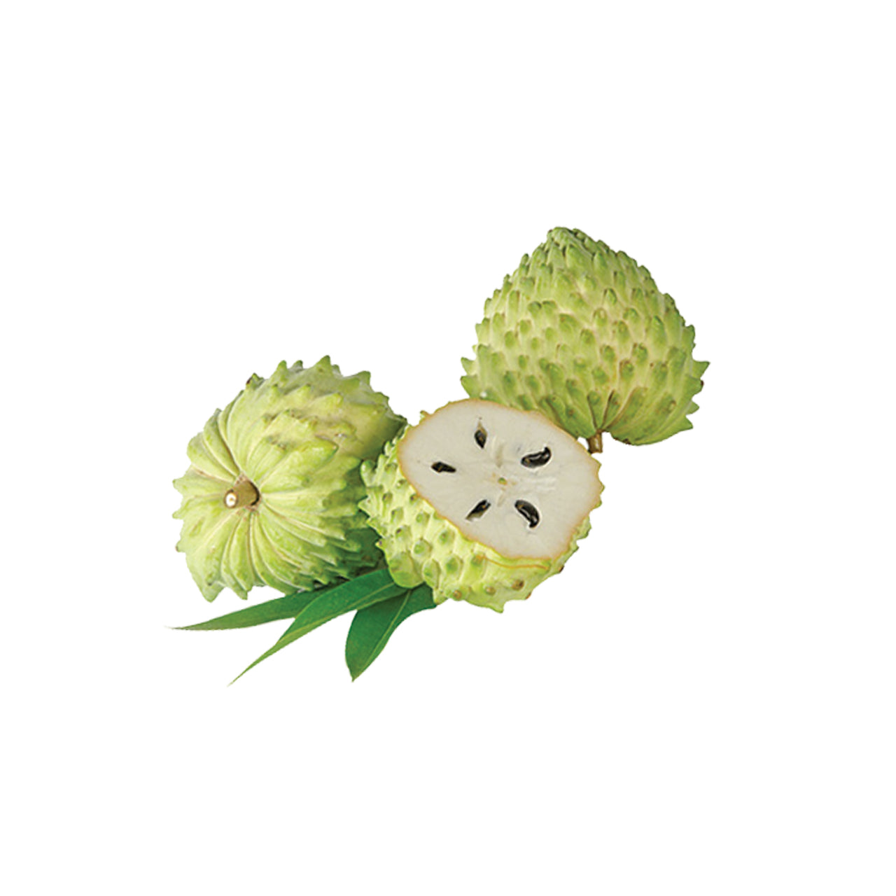 Soursop - Anona, Graviola, Guanabana aliejus